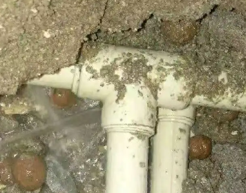 维西测漏水多少钱