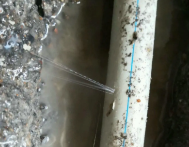 维西测漏水哪家好