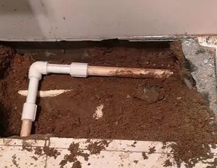 维西测漏水哪家好