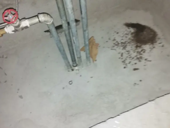 维西卫生间测漏水价格明细