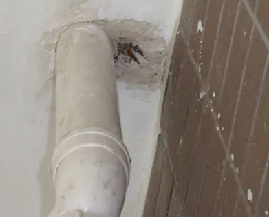 维西漏水检测哪家好